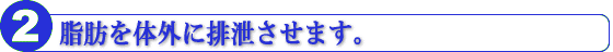 脂肪を対外に排泄させます。