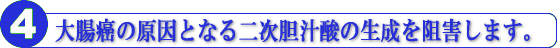 大腸癌の原因となる二次胆汁酸の生成を阻害します。
