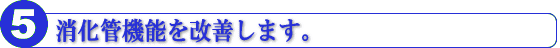 消化管機能を改善します。